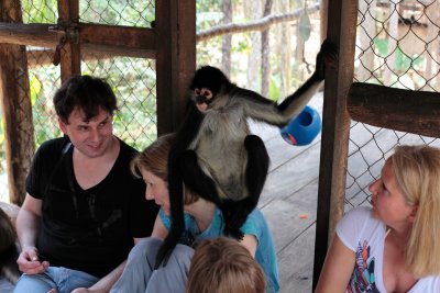 monkeys_262.JPG