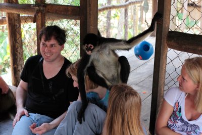 monkeys_264.JPG