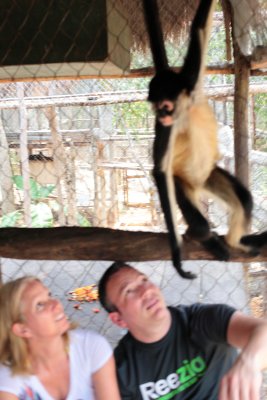 monkeys_268.JPG