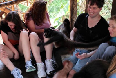 monkeys_269.JPG