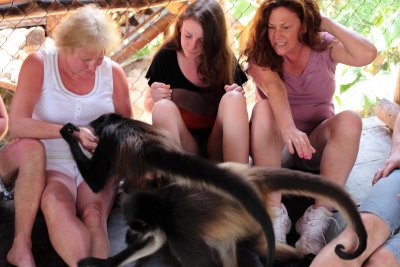 monkeys_271.JPG