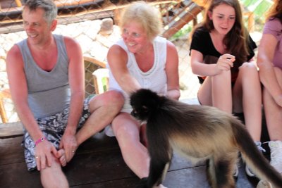 monkeys_273.JPG