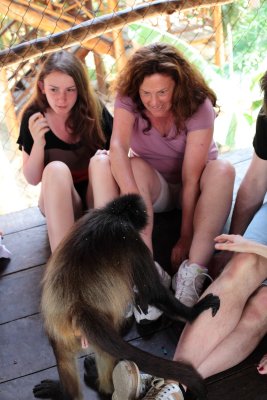 monkeys_276.JPG