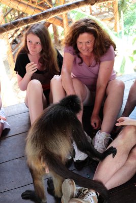 monkeys_277.JPG