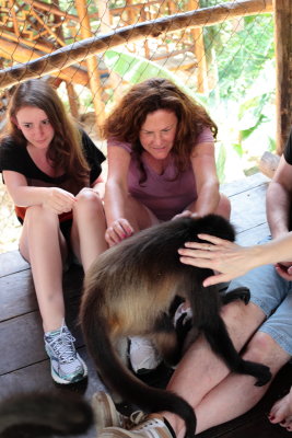 monkeys_278.JPG