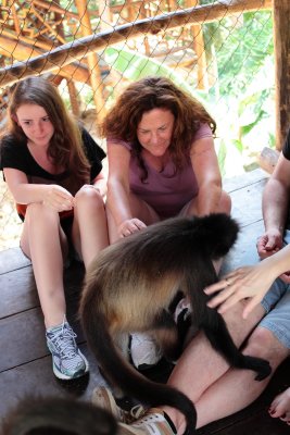 monkeys_279.JPG
