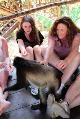 monkeys_280.JPG