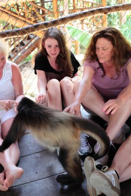 monkeys_281.JPG