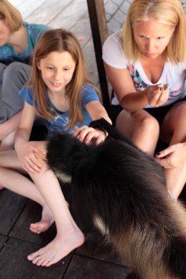 monkeys_282.JPG