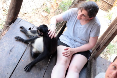 monkeys_284.JPG