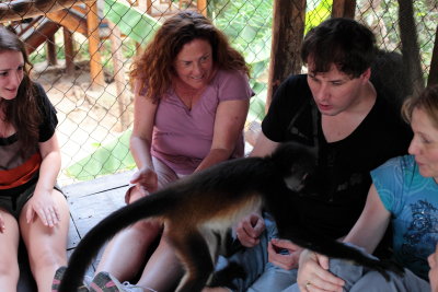 monkeys_288.JPG