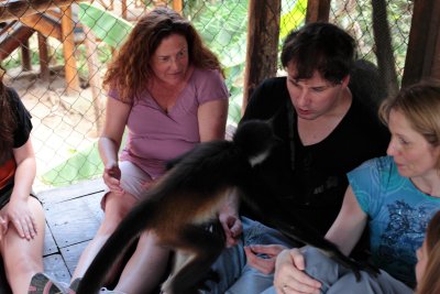 monkeys_289.JPG