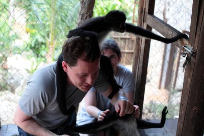 monkeys_314.JPG