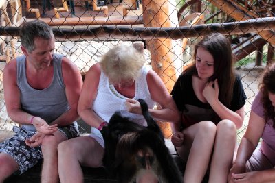 monkeys_316.JPG