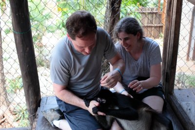 monkeys_318.JPG