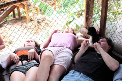 monkeys_322.JPG