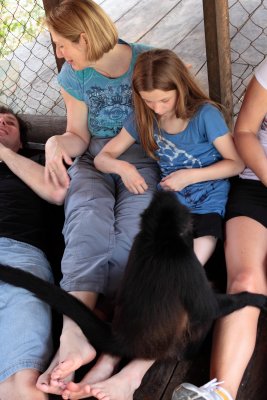 monkeys_327.JPG