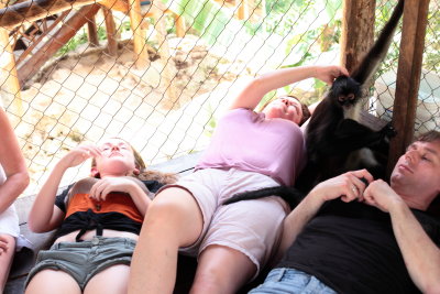 monkeys_328.JPG