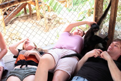 monkeys_329.JPG