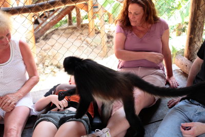 monkeys_334.JPG