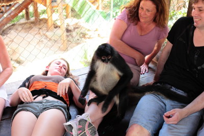 monkeys_337.JPG