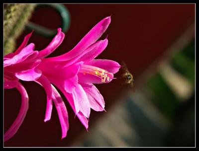 PICT0871.jpg