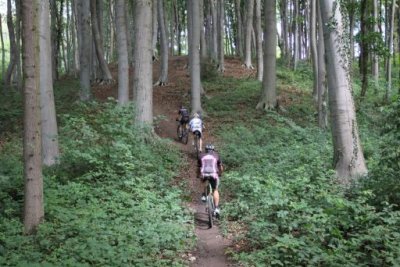 IMG_4225 (Large).JPG