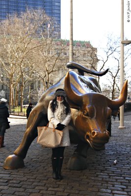 Wall Street Bull