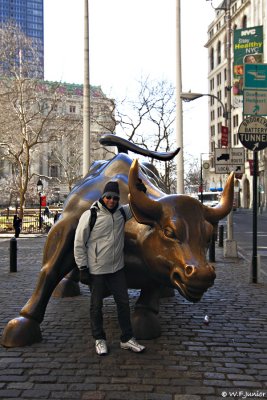 Wall Street Bull