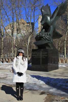 Battery Park Eagle