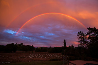 Double Rainbow over Vineyard