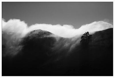 Marin Headlands