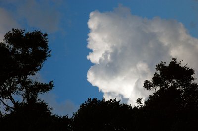 g4/56/398356/3/133433114.PMag6SJR.jpg