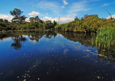 Drinking nature is an unquenchable thirst. - Berri Clove