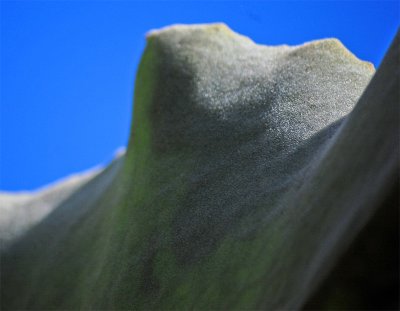 Don't make a mountain out of a molehill. -proverb