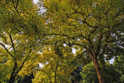 A people without children would face a hopeless future; a country without trees is almost as helpless.-Theodore Roosevelt
