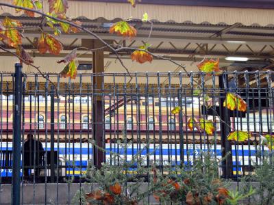Flinders street station platform.jpg