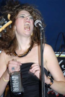 Andersonville street fair, June 2006