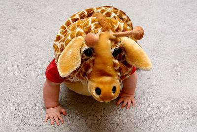 How a bird sees Micah Giraffe