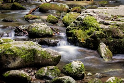 Mossy Stone Brook