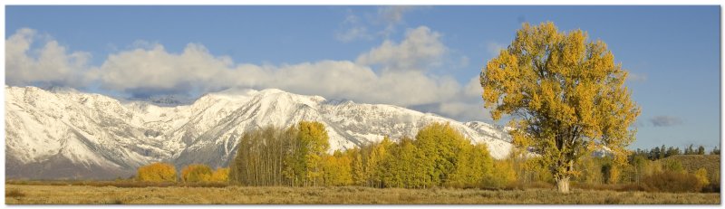 DSC_3077.jpg