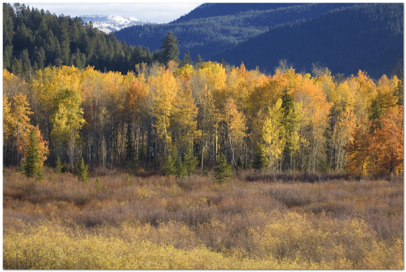 Grand Teton National Park October 2011