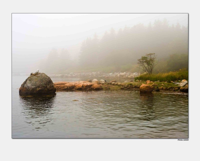 Foggy Morning (Blue Hill Peninsula,  Maine)