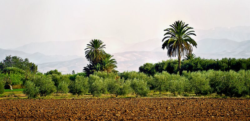 Middle Atlas Mountains