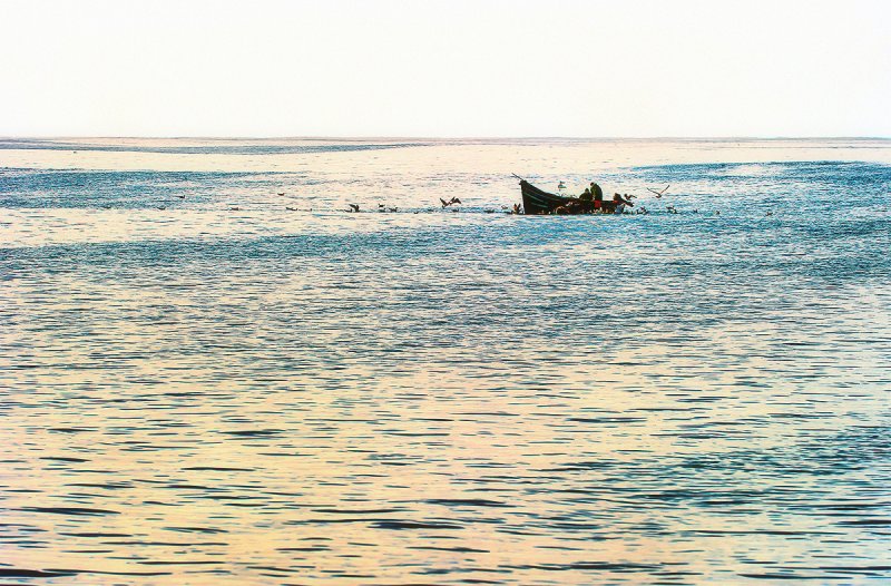 Agadir Fishermen