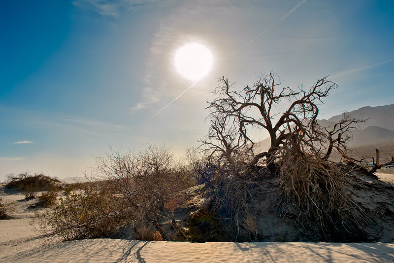 Death Valley - Mesquite Flat Dunes