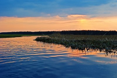 Biebrza River