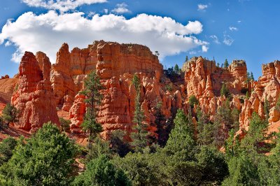 The Bryce Canyon