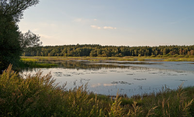 The Ponds in Ruda Rozanecka