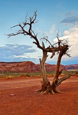 The Monument Valley